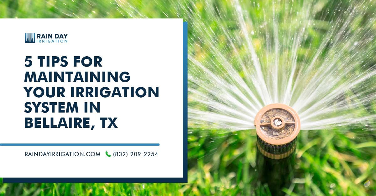 images/Blog/2023/04-April/02-Intro-tips-for-maintaining-your-irrigation-system-in-bellaire-tx.jpg#joomlaImage://local-images/Blog/2023/04-April/02-Intro-tips-for-maintaining-your-irrigation-system-in-bellaire-tx.jpg?width=1200&height=627